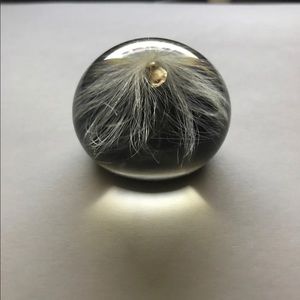 Vintage PolyQuartz Milkweed Paperweight